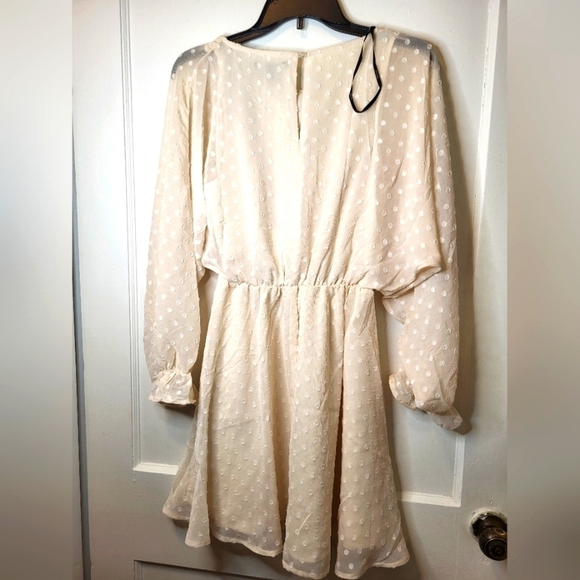 NWT Forever 21 Swiss Dot Cream/off white Small dress - Picture 9 of 11